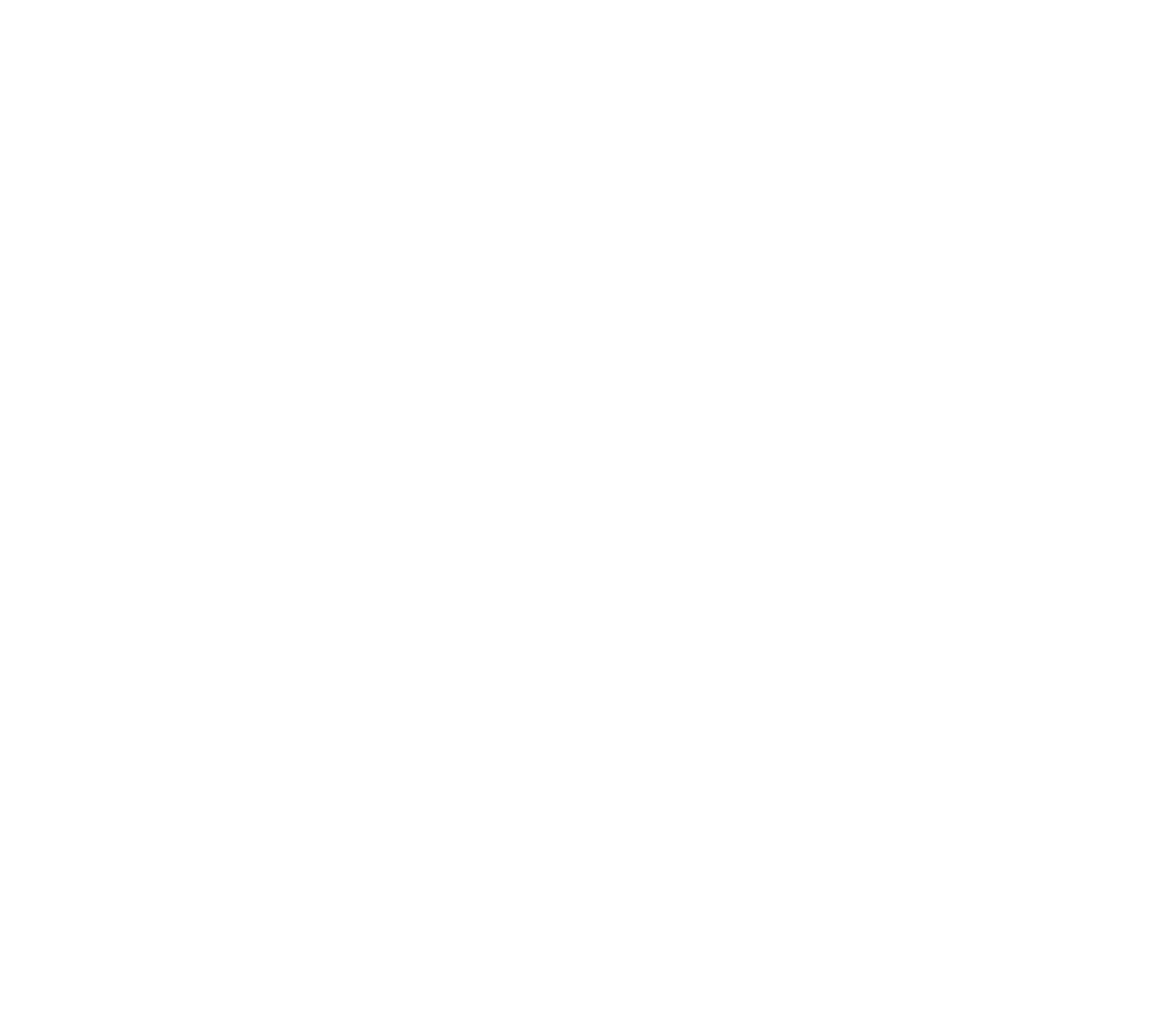 The Audit Podcast
